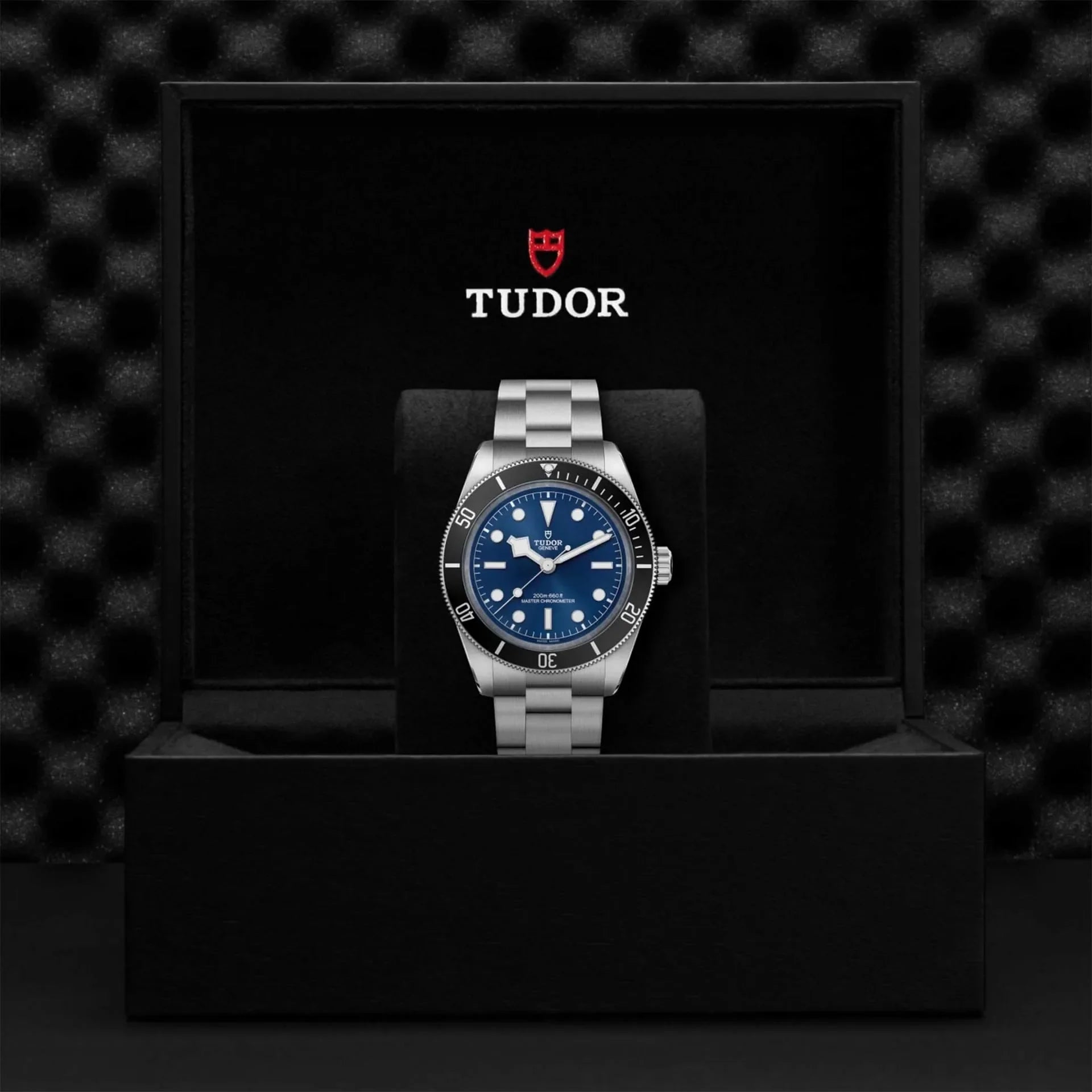 Tudor Black Bay 54 Blue Dial Silver Steel Strap Watch for Men - M7943A1A0NU-0001