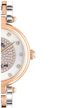 Coach Park Silver Dial Two Tone Steel Strap Watch for Women - 14503642