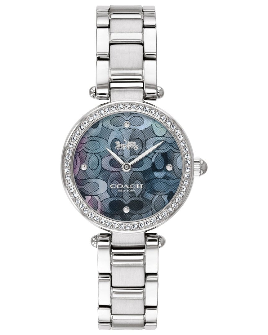 Coach Park Mother of Pearl Blue Dial Silver Steel Strap Watch for Women - 14503224