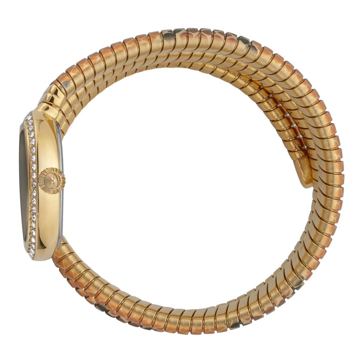 Just Cavalli Doppio Black Dial Multicolor Steel Strap Watch for Women - JC1L163M0065