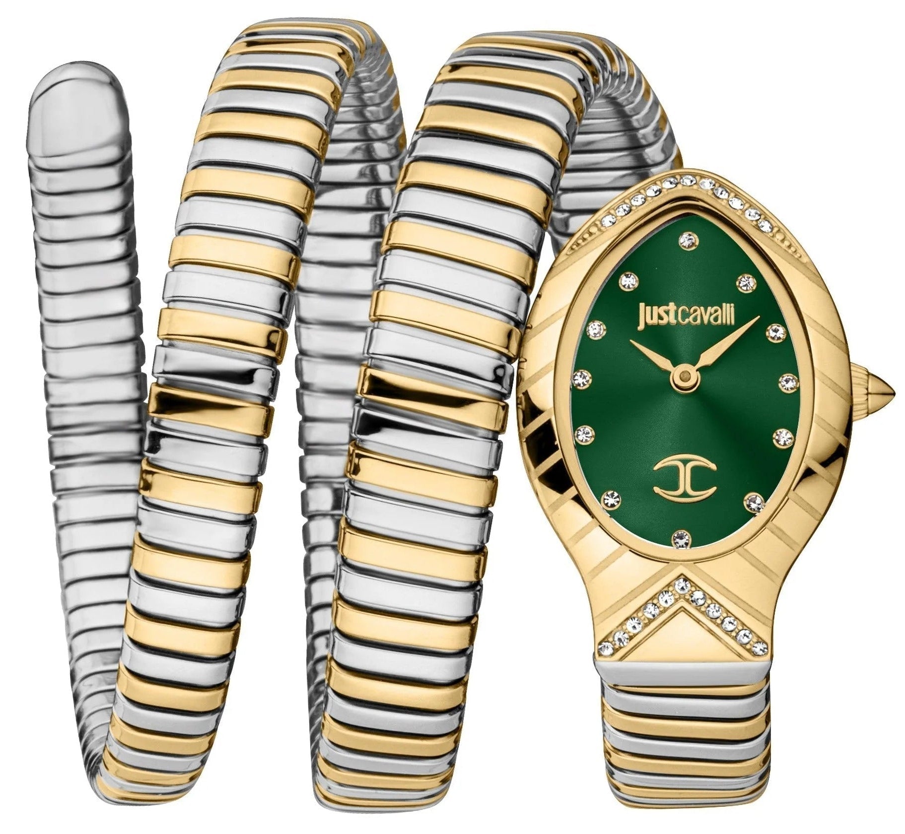 Just Cavalli Classico Lungo Green Dial Two Tone Steel Strap Watch for Women - JC1L248M0065