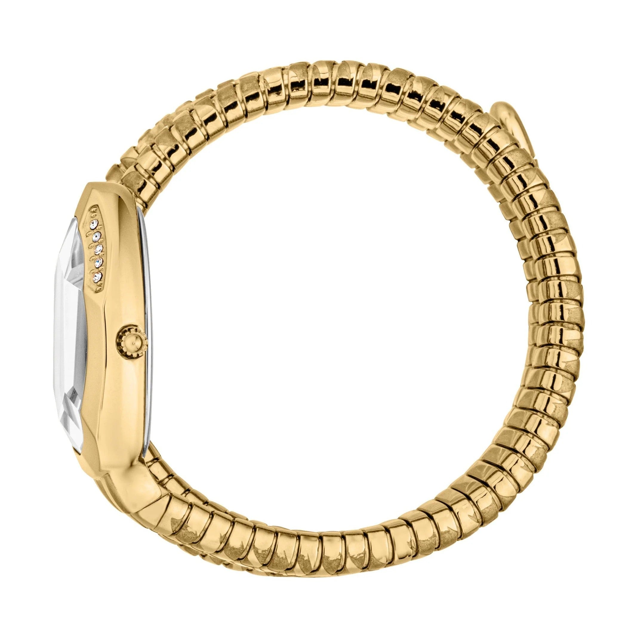 Just Cavalli Classico Lungo White Dial Gold Steel Strap Watch for Women - JC1L248M0025