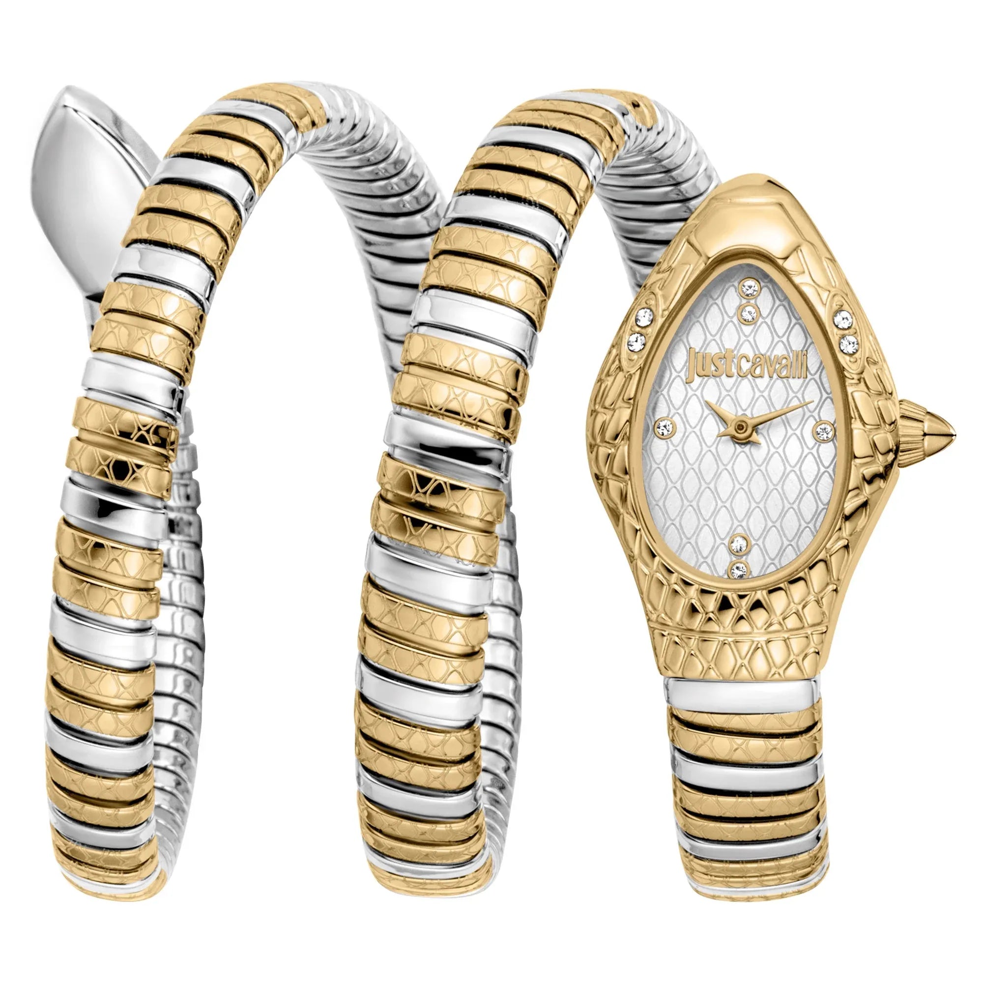 Just Cavalli Aurela Silver Dial Two Tone Steel Strap Watch for Women - JC1L374M0055