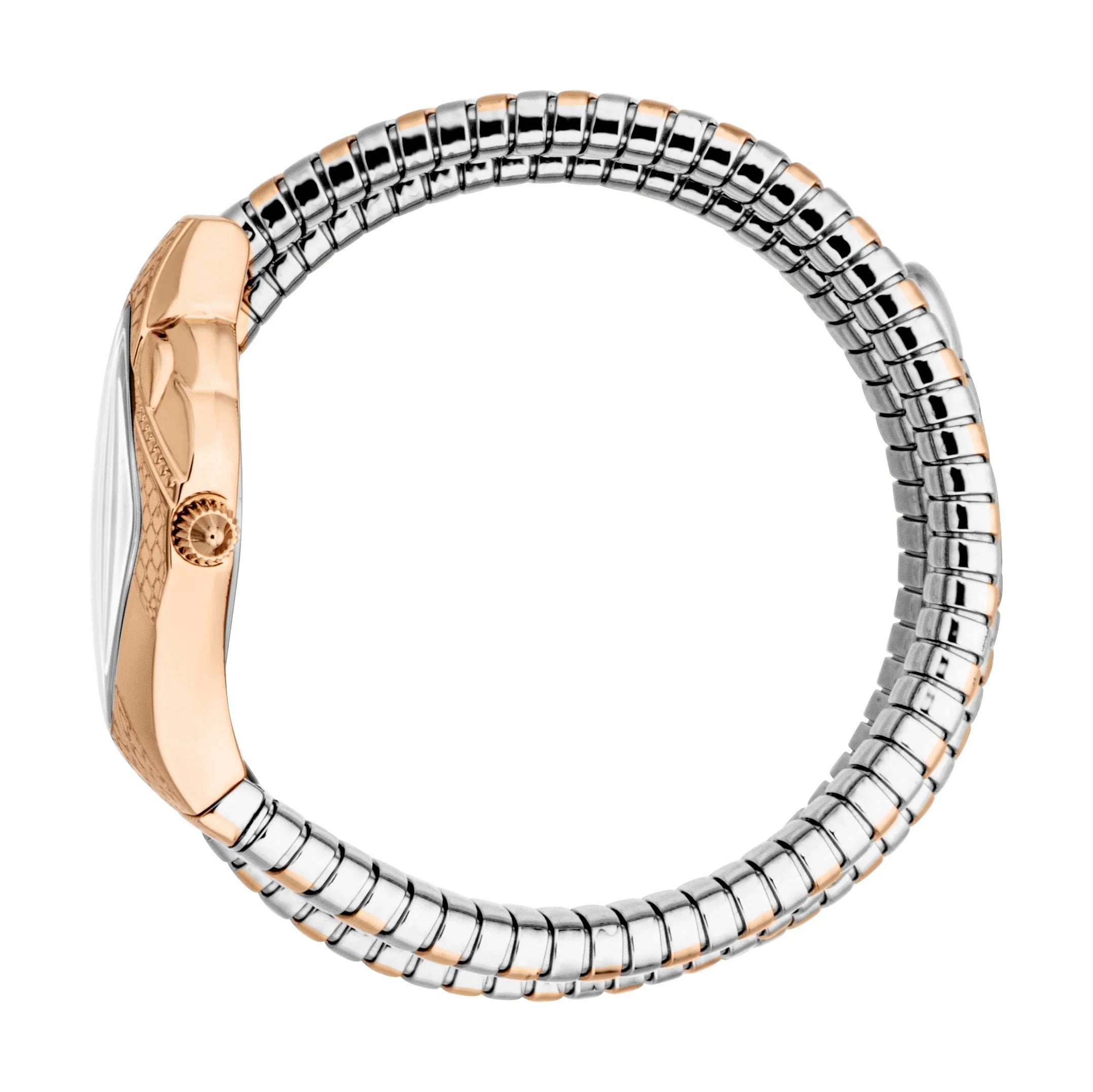 Just Cavalli Cristallo Silver Dial Two Tone Steel Strap Watch for Women - JC1L307M0065