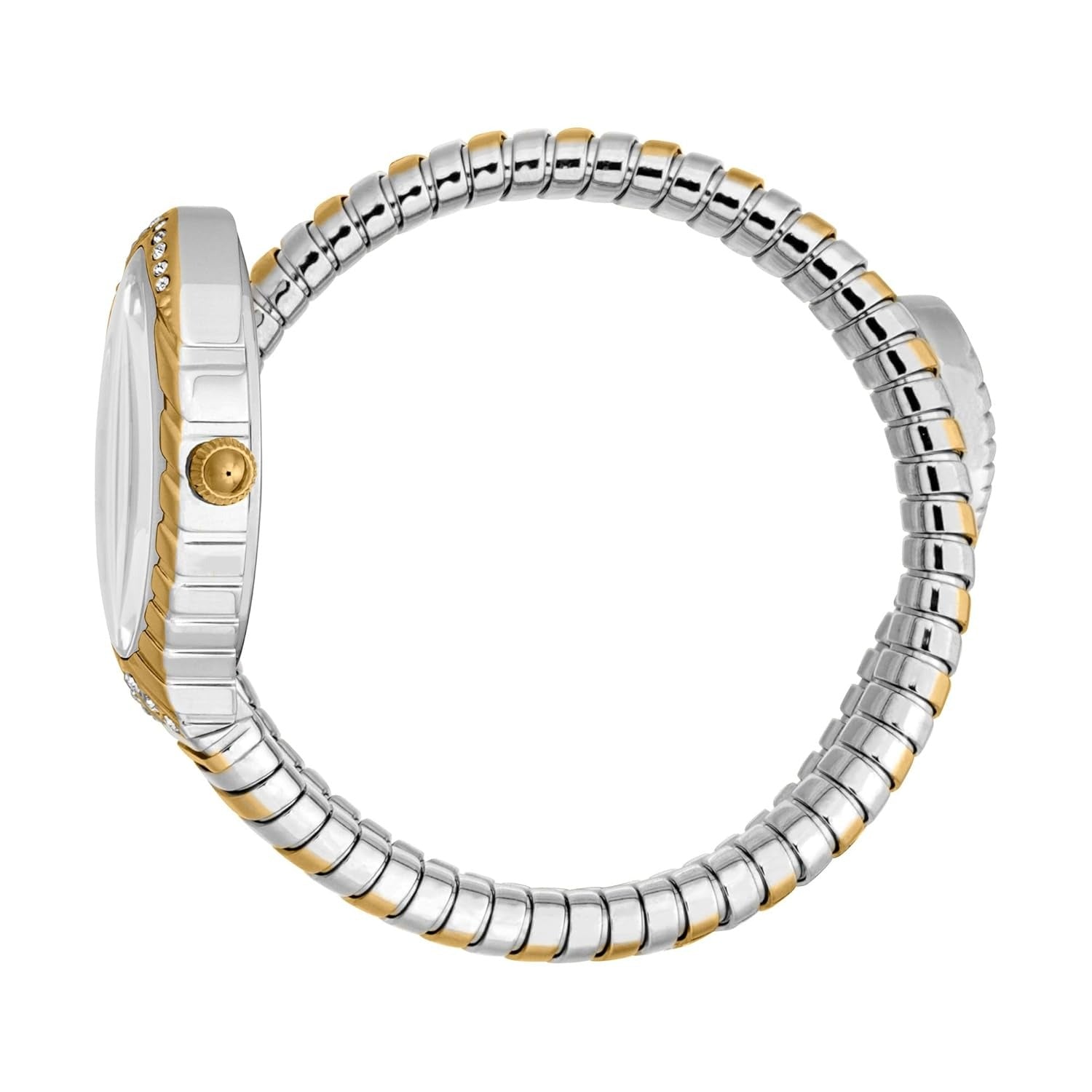 Just Cavalli Specchio Silver Dial Two Tone Steel Strap Watch for Women - JC1L322M0055