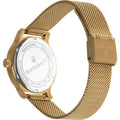 Maserati Epoca Mother of Pearl Dial Yellow Gold Mesh Strap Watch For Women - R8853118502