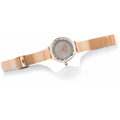 Swarovski Octea Nova Grey Dial Gold Mesh Bracelet Watch for Women - 5451634
